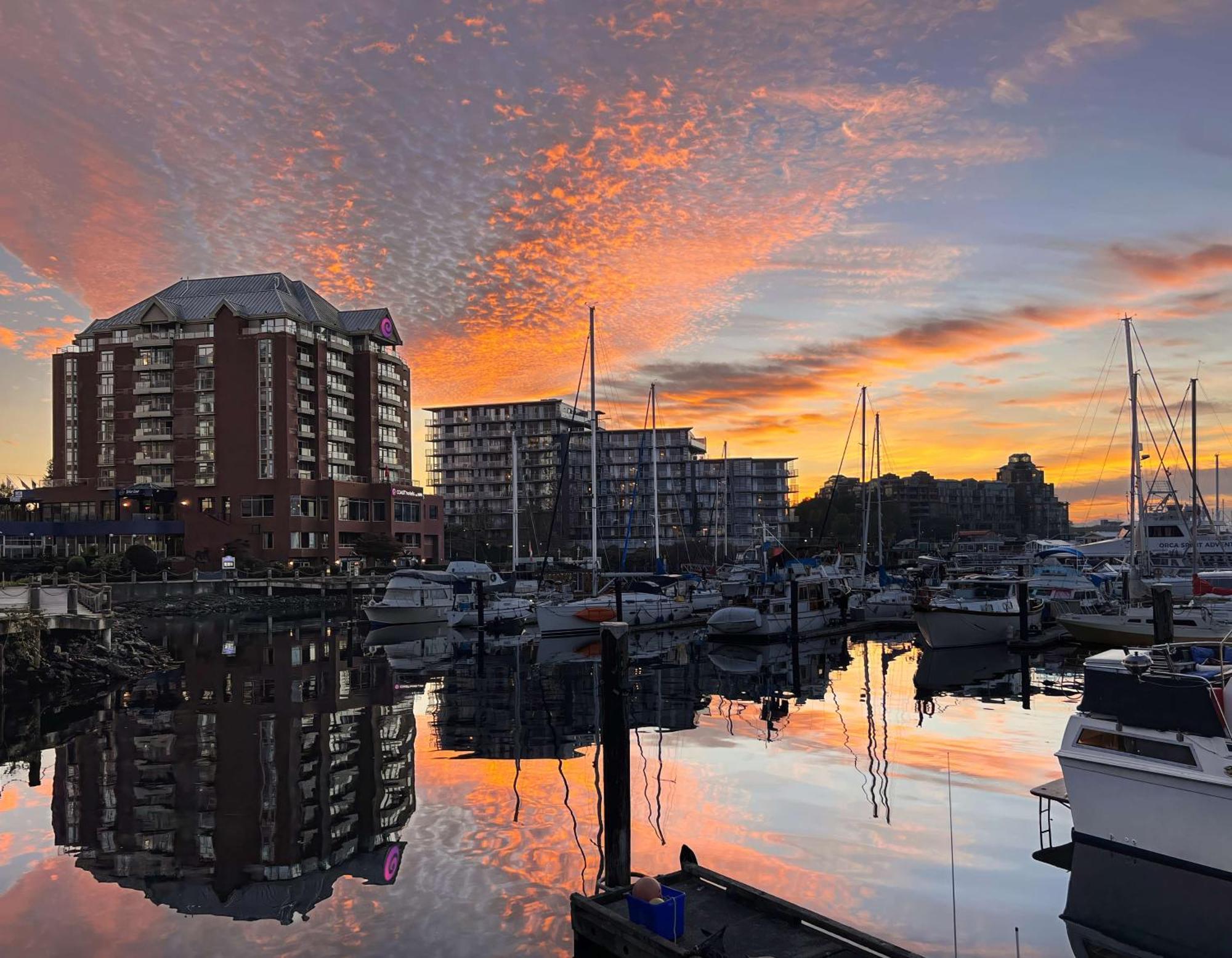 Coast Victoria Hotel & Marina By Apa Dış mekan fotoğraf